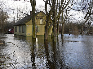 flood insurance