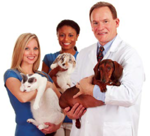  Veterinary Insurance Program